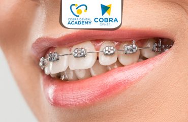 Cobra Dental- supplier dental - alatdoktergigi - www.cobradental.co.id